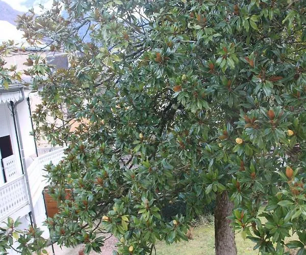 Daire T4 - Centre De Luchon - 6 Pers - - Randonnee - Cure *