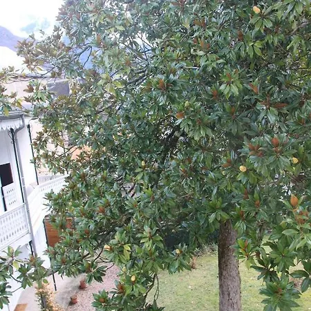 アパート T4 - Centre De Luchon - 6 Pers - - Randonnee - Cure *